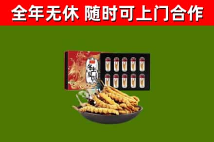 永嘉县回收冬虫夏草价格
